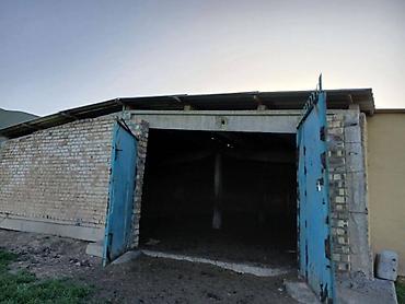 ферма скотник: Farm КРС, 50 соток, Действующий, Без оборудования, Электричество, Холодная вода — 9
