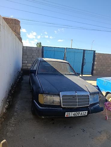 Mercedes-Benz W124: 1990 г., 3 л, Кол менен иштөөчү, Дизель, Седан — 2