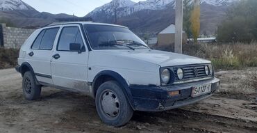 Volkswagen: Volkswagen Golf: 1987 г., 1.6 л, Механика, Дизель