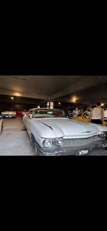 куплен: Cadillac : 1959 г., Купе — 8