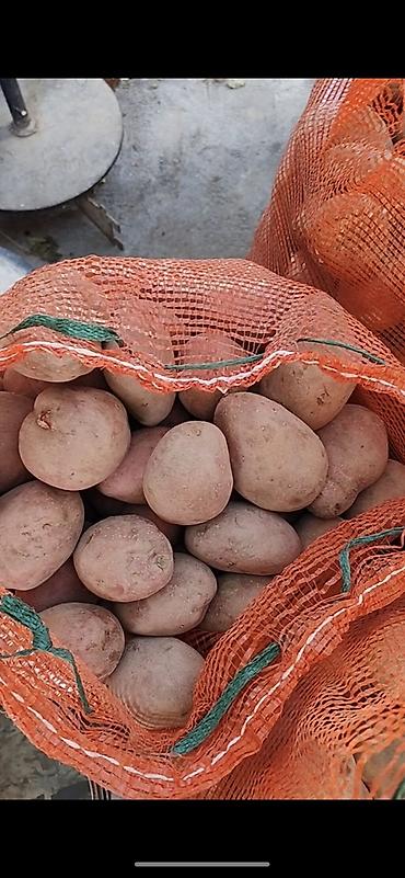 уголь шабыркуль цена бишкек: Картошка Чекене — 3