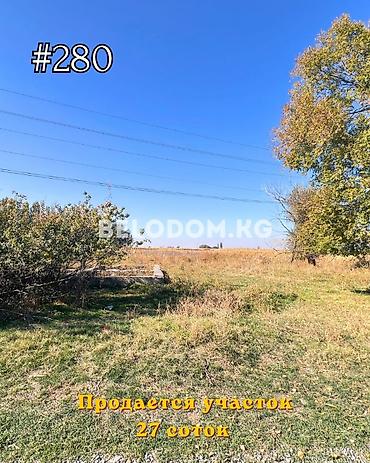 аренда дома на ночь: 27 соток, Красная книга — 1