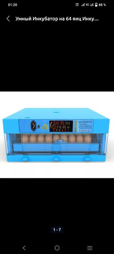 Товары и оборудование для с/х животных: Умный инкубатор на 64 яиц. Автоматический, вывод 99%