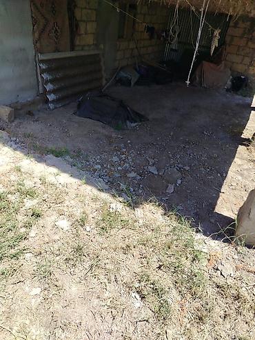 mehemmedi torpaq satilir: 200 sot, Mülkiyyətçi, Kupça (Çıxarış) — 6
