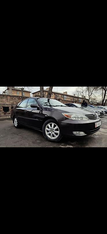 kamri 75: Toyota Camry: 2003 г., 2.4 л, Автомат, Бензин, Седан — 1