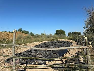 Продажа сельхоз предприятий: Продается Кошар на земельном участке площадью 1000,0 кв.м. Имеется at lalafo.kg — 6 Продажа сельхоз предприятий: Продается Кошар на земельном участке площадью 1000,0 кв.м. Имеется — 6