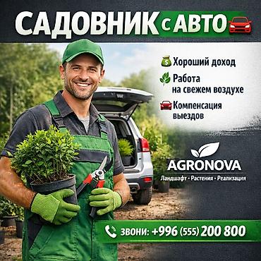 купить эксковатор: Требуется опытный садовник для работы с декоративными растениями с — 1