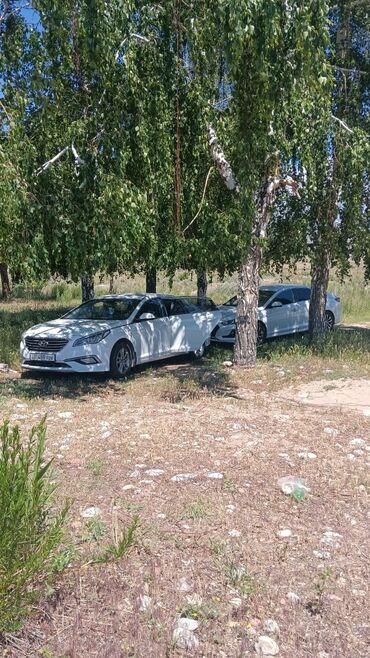 арена авто: По региону, Иссык-Куль Такси, легковое авто | 4 мест