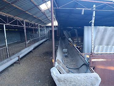 фермер: Farm КРС, 10 соток, Действующий, Частично с оборудованием, Электричество — 4