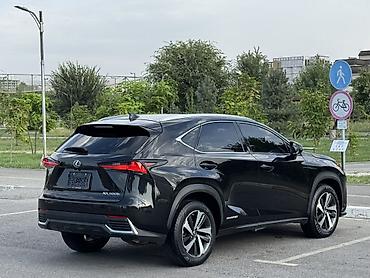 лехус нх: Lexus NX: 2019 г., 2.5 л, Гибрид, Кроссовер — 3