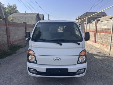 радиаторы на портер: Жеңил жүк ташуучу унаа, Hyundai, Стандарт, 1ге чейин т, Жаңы