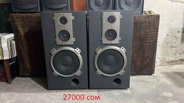 акустические системы dynaudio колонка череп: 35 АС-018 «Амфитон» профессиональная доработка