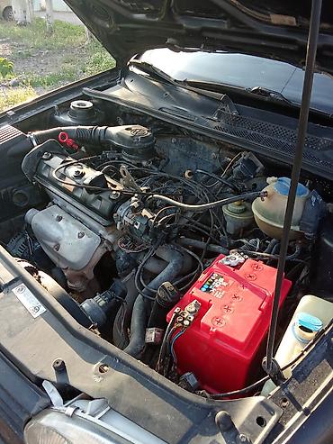 резиновое: Volkswagen Golf: 1993 г., 1.6 л, Механика, Бензин, Хэтчбэк — 9