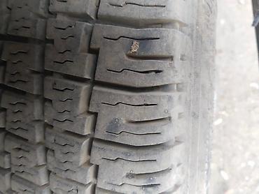 Volkswagen: Volkswagen Transporter: 1986 г., 1.8 л, Механика, Бензин, Бус — 6