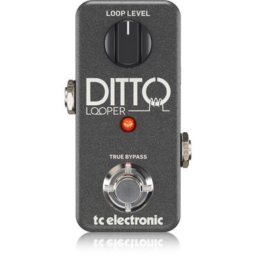Fleytalar: TC Electronic Ditto Looper pedalı - Ultra-kompakt looper pedalı
