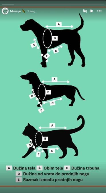 Oprema za kućne ljubimce: KlotGoget pleteni džemper LUKI za male i velike pse * Ručni rad od — 9