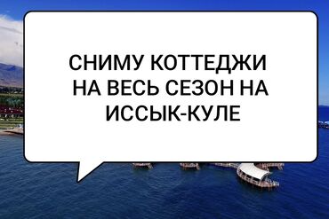 Иссык-Куль 2025: Коттедж
