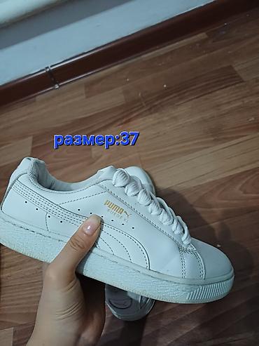 сумка дизель бишкек: Кроссовкалар, 37, Puma, Колдонулган, түсү - Ак — 1
