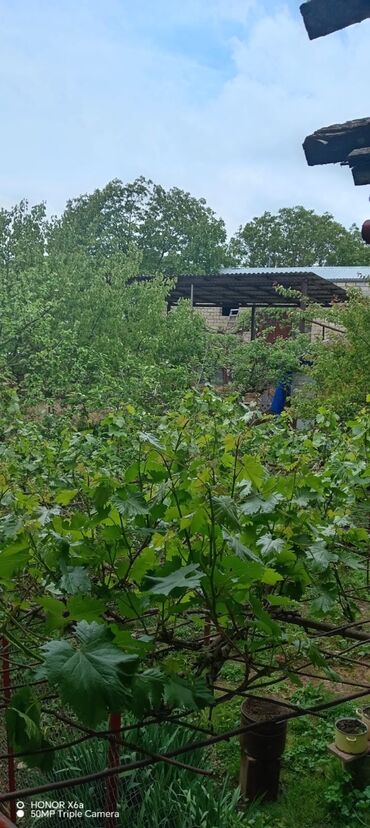 Həyət evləri və villaların satışı: 15 otaq, 300 kv. m, Kredit yoxdur, Orta təmir -da lalafo.az — 7 Həyət evləri və villaların satışı: 15 otaq, 300 kv. m, Kredit yoxdur, Orta təmir — 7