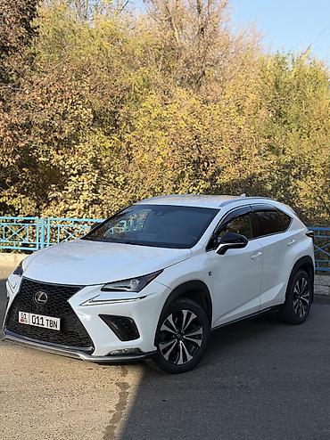 ford rapter: Lexus NX: 2019 г., 2 л, Автомат, Бензин, Кроссовер — 1