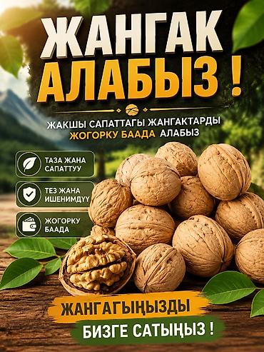 Жаңгак: Грецкий жангак алабыз — 3