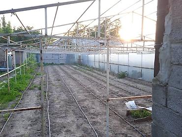 Үй жана бакча: ( теплица ). Продаю готовую теплицу. Продаётся только каркас теплицы — 7