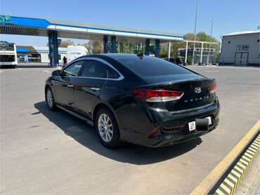 балыкчы овто: Hyundai Sonata: 2017 г., 2 л, Автомат, Газ, Седан