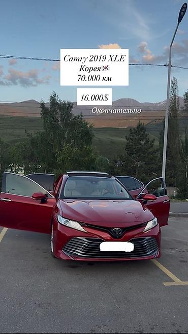 tayota progres: Toyota Camry: 2019 г., 2.5 л, Автомат, Бензин, Седан — 1