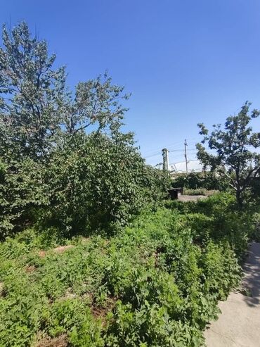 квартира поселок манас: 5 соток, Для строительства, Красная книга