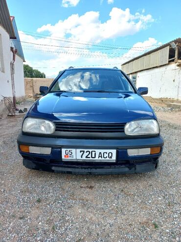 Volkswagen: Volkswagen Golf: 1993 г., 1.8 л, Механика, Бензин, Универсал