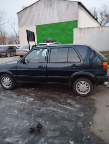 Volkswagen: Volkswagen Golf: 1990 г., 1.8 л, Механика, Бензин, Хэтчбэк