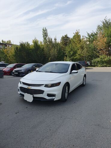 шевроле ланос купить: Chevrolet Malibu, белый седан бизнес-класса - Кузов: 4-дверный седан