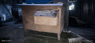 песок для животных: Деревянный курятник с многоуровневой внутренней структурой
