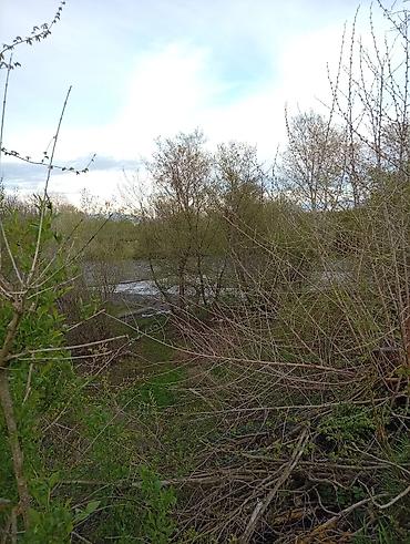 Torpaq sahələrinin satışı: 38 sot, Tikinti, Mülkiyyətçi, Kupça (Çıxarış) — 27