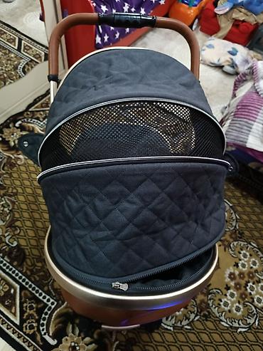 Gəzinti arabaları: Yaş: 30 ay — 7