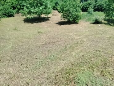 Torpaq sahələrinin satışı: Tikinti — 19