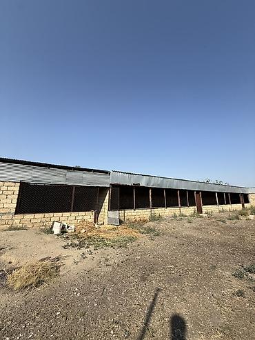 Torpaq sahələrinin satışı: 32 sot, Kənd təsərrüfatı, Barter mümkündür, Kupça (Çıxarış) — 3