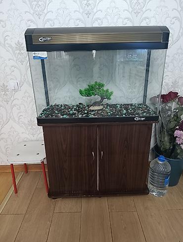 Аквариумный комплект Sea Star с тумбой - Стеклянный прямоугольный