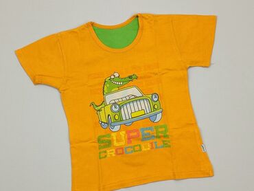 koszulka z motywem gór: Koszulka, 5-6 lat, 110-116 cm, stan - Dobry
