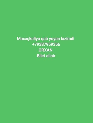 tarqovuda is elanlari: Qabyuyan tələb olunur, Aylıq ödəniş, İstənilən yaş