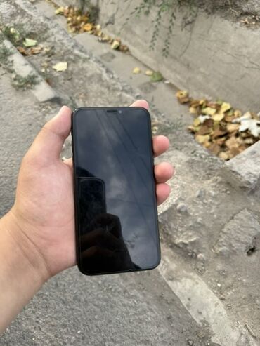 iphone хр: IPhone X, Кара