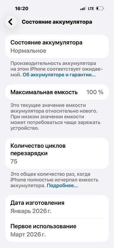 сумка новый: IPhone 17 Pro Max, Б/у, 256 ГБ, Серебристый, Чехол, 100 % — 2