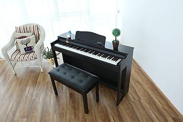 Musiqi alətləri: Piano, Mayga, Rəqəmsal, Yeni, Pulsuz çatdırılma — 9