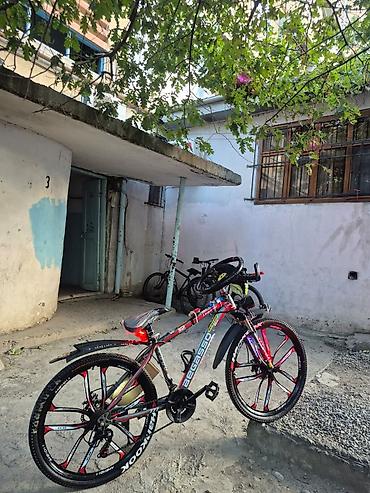 24 luk velosibetlər: Begasso dağ velosipedi – xüsusi tüninqli Xüsusiyyətlər: - Güclü — 1