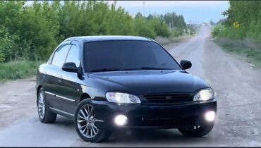 Kia: Kia Spectra: 2007 г., 1.6 л, Автомат, Бензин, Седан — 4