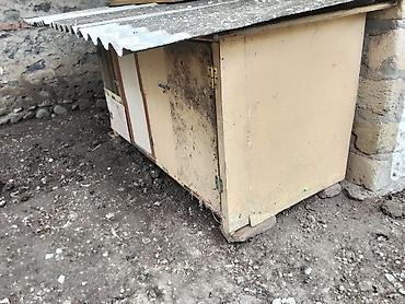 barter xoruz: Toyuq/broyler üçün çoxbölməli qəfəs-kümes - Material: ağac karkas — 1