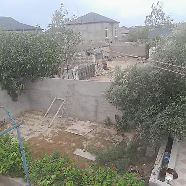 saray torpag: 8 sot, Kupça (Çıxarış) — 1
