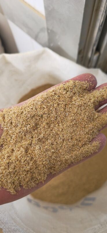 Gəmiricilər: Düyü kəpəyi satılır – yüksək keyfiyyətli heyvan yemi Düyü kəpəyi nə