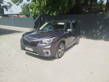 Subaru: Subaru Forester: 2019 г., 2.5 л, Вариатор, Бензин, Внедорожник
