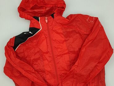 beloved piżama pepco: Kurtka przejściowa, Puma, 12 lat, 146-152 cm, stan - Bardzo dobry w lalafo.pl beloved piżama pepco: Kurtka przejściowa, Puma, 12 lat, 146-152 cm, stan - Bardzo dobry